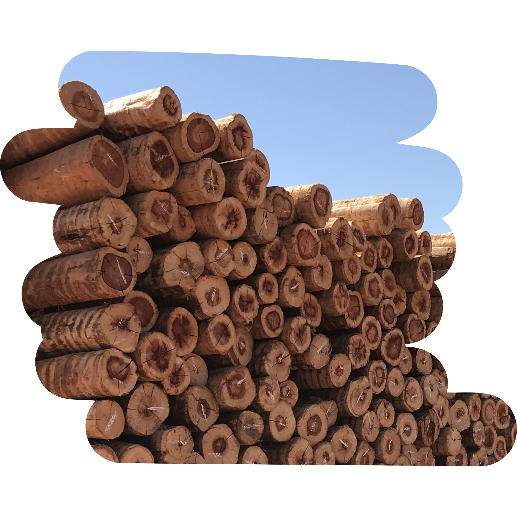 Produto 12a14x220
